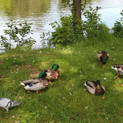 Bugårdsparken - Sandefjord