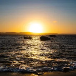 Folehavna Nature Reserve - Sandefjord