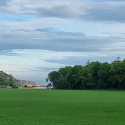 Folehavna Nature Reserve - Sandefjord