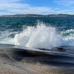 Folehavna Nature Reserve - Sandefjord