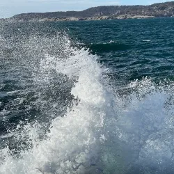 Folehavna Nature Reserve - Sandefjord