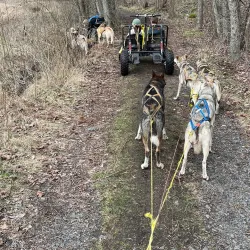 Folehavna Nature Reserve - Sandefjord