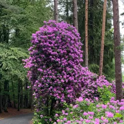Midtåsen Sculpture Park - Sandefjord