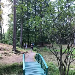 Midtåsen Sculpture Park - Sandefjord