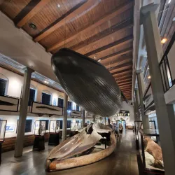 Whaling Museum (Hvalfangstmuseet) - Sandefjord