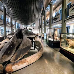 Whaling Museum (Hvalfangstmuseet) - Sandefjord