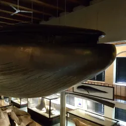 Whaling Museum (Hvalfangstmuseet) - Sandefjord