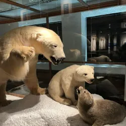 Whaling Museum (Hvalfangstmuseet) - Sandefjord