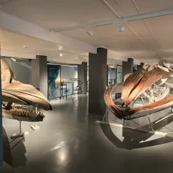 Whaling Museum (Hvalfangstmuseet) - Sandefjord