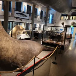 Whaling Museum (Hvalfangstmuseet) - Sandefjord