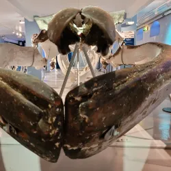 Whaling Museum (Hvalfangstmuseet) - Sandefjord