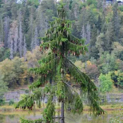 Engervannet Lake - Sandvika