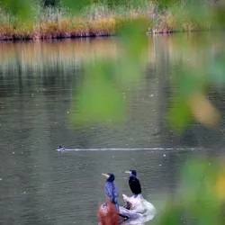 Engervannet Lake - Sandvika
