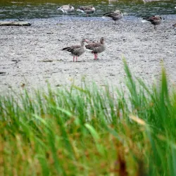 Engervannet Lake - Sandvika