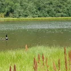 Engervannet Lake - Sandvika