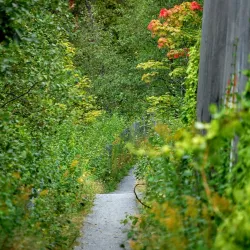 Engervannet Lake - Sandvika