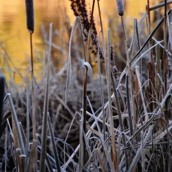 Engervannet Lake - Sandvika