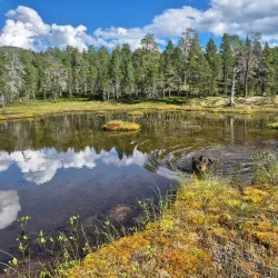 Ånderdalen National Park - Senja