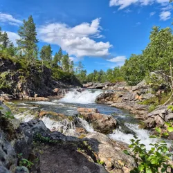Ånderdalen National Park - Senja