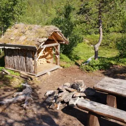 Ånderdalen National Park - Senja