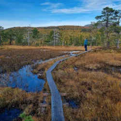 Ånderdalen National Park - Senja