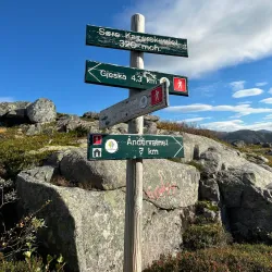 Ånderdalen National Park - Senja