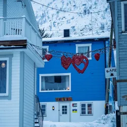 Senja Scenic Route (National Tourist Route Senja) - Senja