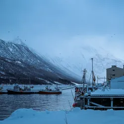 Senja Scenic Route (National Tourist Route Senja) - Senja