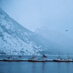 Senja Scenic Route (National Tourist Route Senja) - Senja