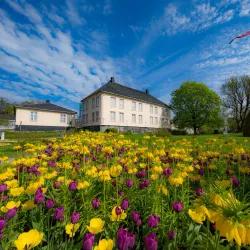 Brekkeparken - Skien
