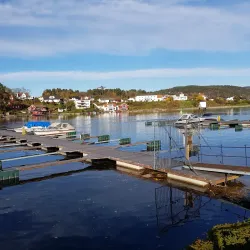 Skienselva River Walk - Skien
