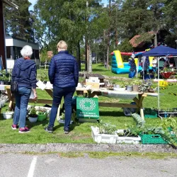 Outdoor Picnic Areas and Parks - Skiptvet