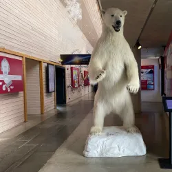 Norsk Bremuseum (Norwegian Glacier Museum) - Sogndal