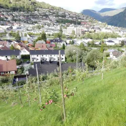 Sogndal Church - Sogndal