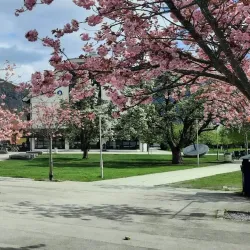 Sognefjord - Sogndal