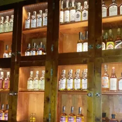 Berg Gård - Steinkjer