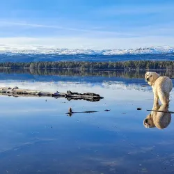 Snåsavatnet Lake - Steinkjer