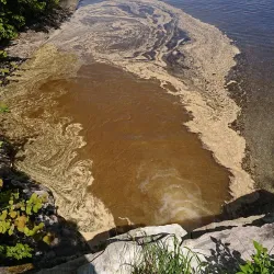 Snåsavatnet Lake - Steinkjer