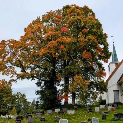Steinkjer Church - Steinkjer