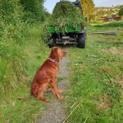 Steinkjer Golf Club - Steinkjer