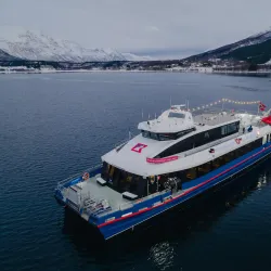 Fjord Sightseeing - Storslett