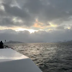 Fjord Sightseeing - Storslett