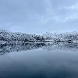 Fjord Sightseeing - Storslett