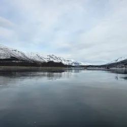 Fjord Sightseeing - Storslett