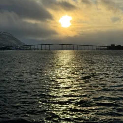 Fjord Sightseeing - Storslett