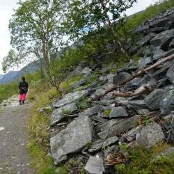 Kåfjorddalen Valley - Storslett