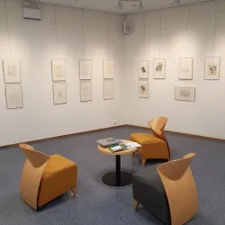 Nord-Troms Museum - Storslett