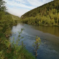 Reisa National Park - Storslett