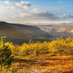 Reisa National Park - Storslett