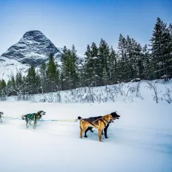 Reisa River - Storslett